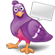 Kontakt